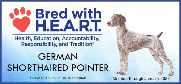 AKC Bred with H.E.A.R.T. badge for German Shorthaired Pointer breeder Tipsy Rabbit. AKC Bred with H.E.A.R.T. badge for German Shorthaired Pointer breeder Tipsy Rabbit.